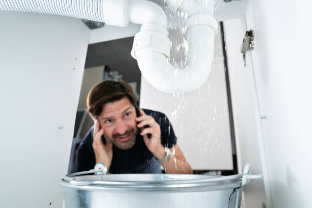 Best Plumbing Services Near Me  in Borden, IN
