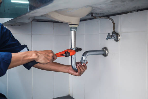 Best Plumbing Inspection Services  in Borden, IN